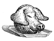 [Pig on a Plate]