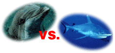 [Flipper vs. Jaws]