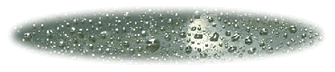 [Automatic Raindrop]