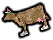 [Net Cow]