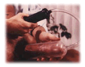 [Penile Enlargement Product]