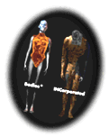 [Virtual Concrete's Bodies Incorporated]