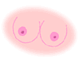[Mammary Glands]