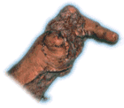 [Mark Pauline's Hand]