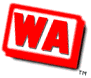 [Web Audit]