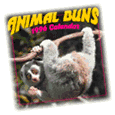 [Animal Buns]