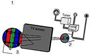 [TV screen]