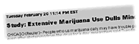 [Smokin' Pot]