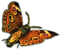 [Flying]