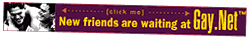 [Gay.Net]