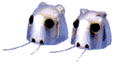 [Babybots]