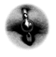 [Navel]