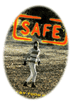 [Safe]