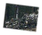 [Plane Crash]