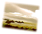 [Beautiful Desert]