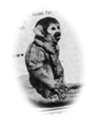 [Monkey=F. Lee]