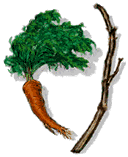 [Carrot And Stick]