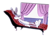 [Bunny Bunny]