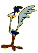 [Road Runner]