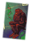[Evolution]