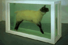 [Dead Lamb]