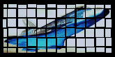 [Shuttle]