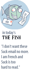 Fish Teaser