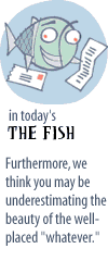 Fish Teaser