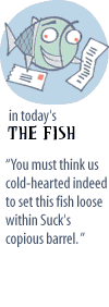 Fish Teaser