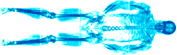 [XRAY]