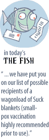 Fish Teaser