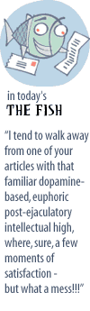 Fish Teaser