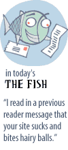 Fish Teaser
