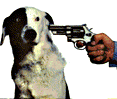 [This is a dog.  This is a dog with a gun.  This is a .gif of a dog with a gun up to his head.]