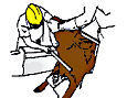 [I have no idea what they are doing to that cow!]