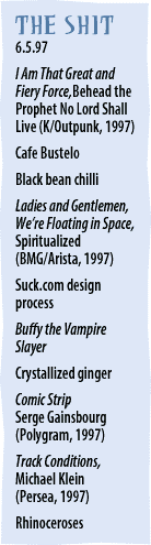 The Stuff -- it's a list of stuff we like.  We call it the stuff because those icky people at SURF WATCH try to get us blacklisted.